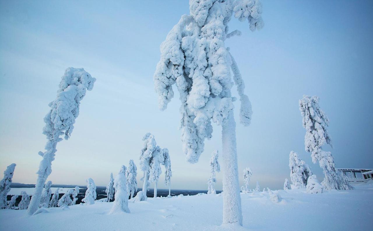 الشقق الفندقية Paltamoفي  Arctic Giant المظهر الخارجي الصورة